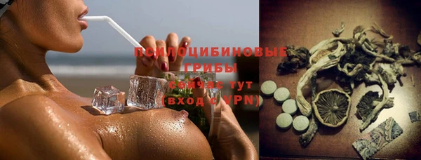 индика Верхнеуральск