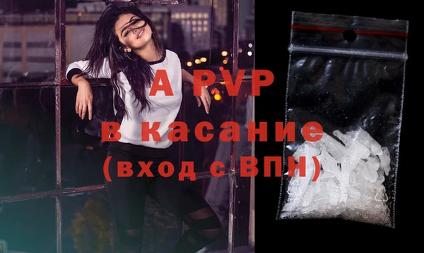 дмт Верея