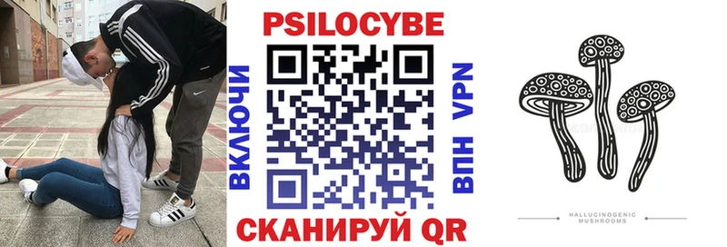 Купить  Окуловка  Псилоцибиновые грибы прущие грибы 